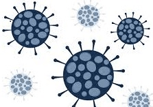 REGOLAMENTO RECANTE MISURE DI PREVENZIONE E CONTENIMENTO DELLA DIFFUSIONE DI SARS-COV-2    A.S. 2021/2022